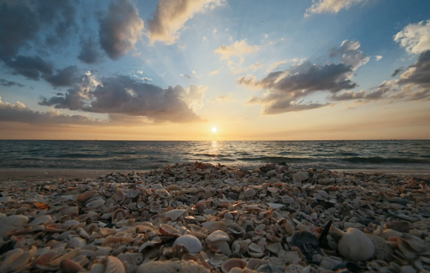 Sunset over Bowman's Beach with seashells scattered across the sand